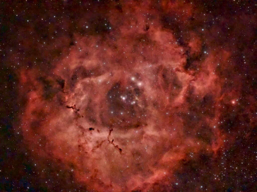 Rosette Nebula