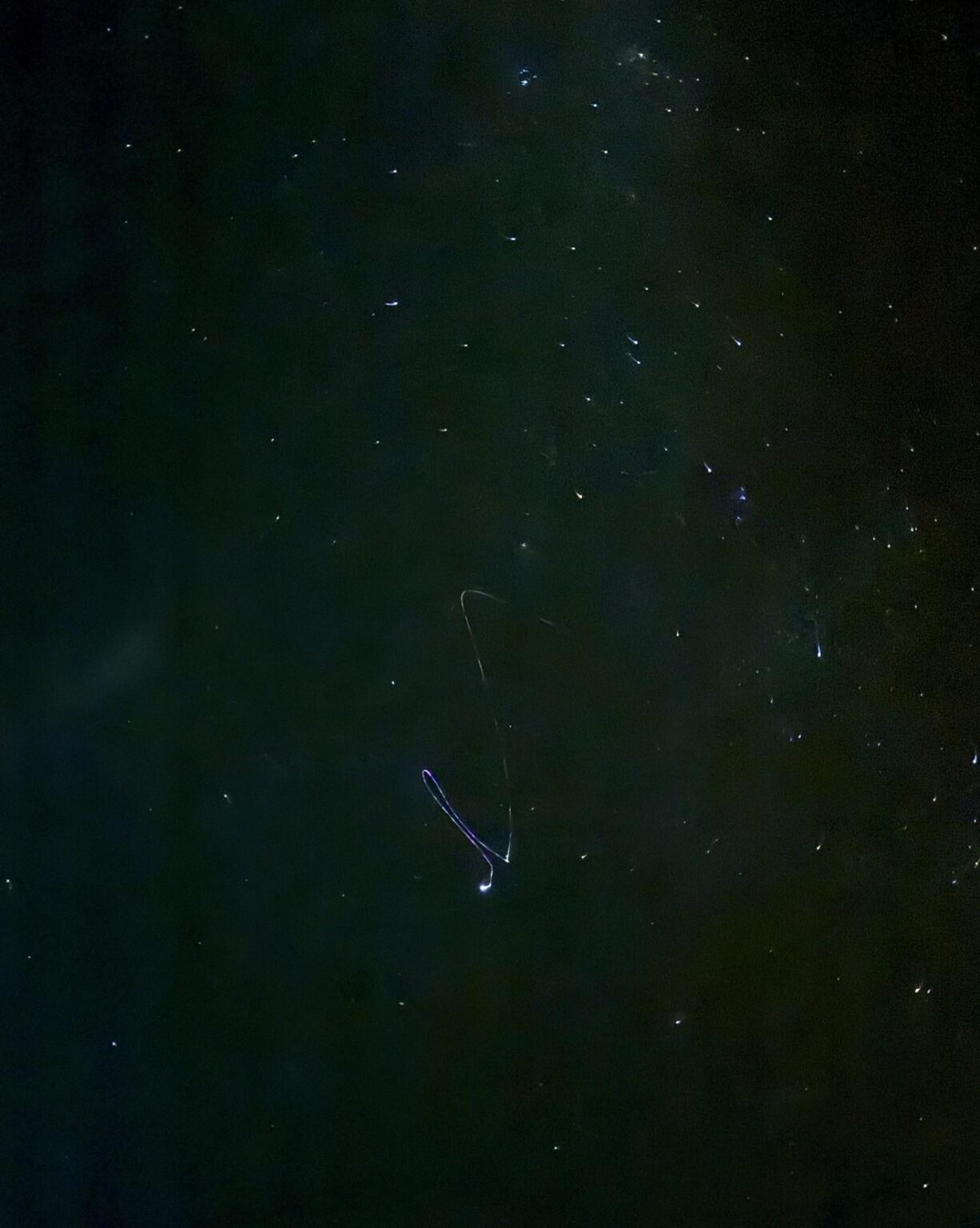 What could this squiggle be?