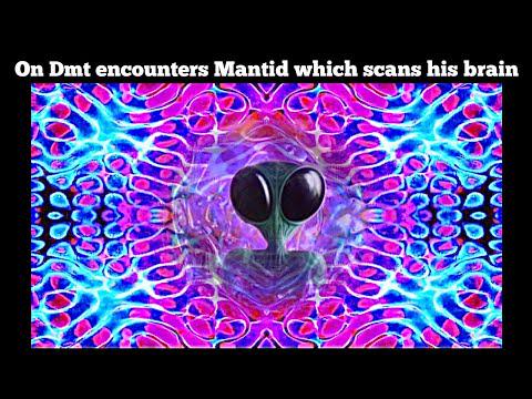 On Dmt encounters Mantid which scans his brain