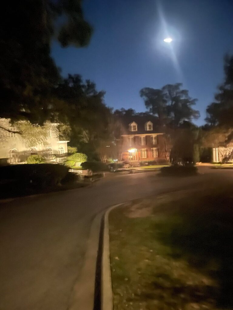 My little buddies from last few years