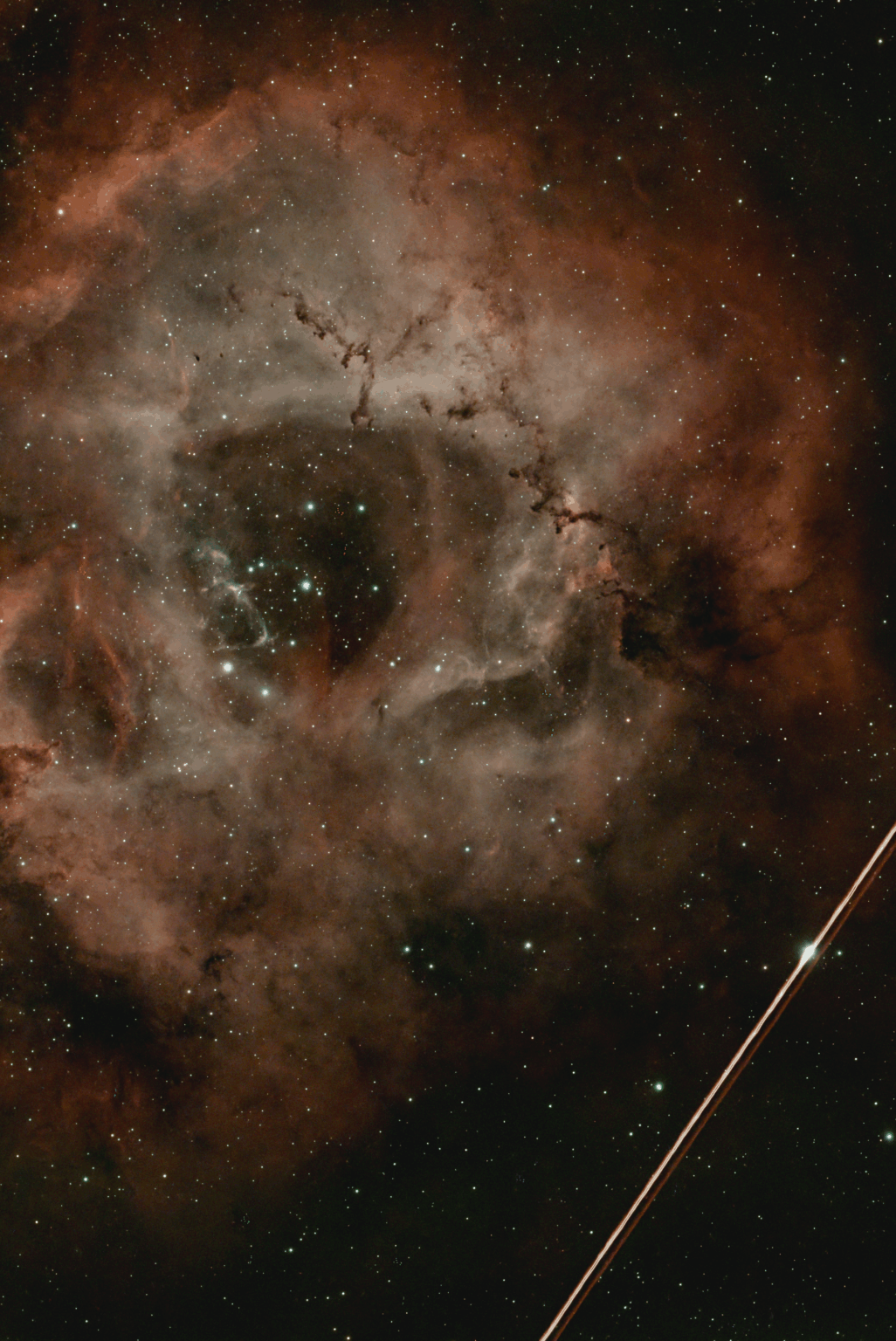 Photobombed by a plane while shooting the Rosette Nebula. Not mad though.