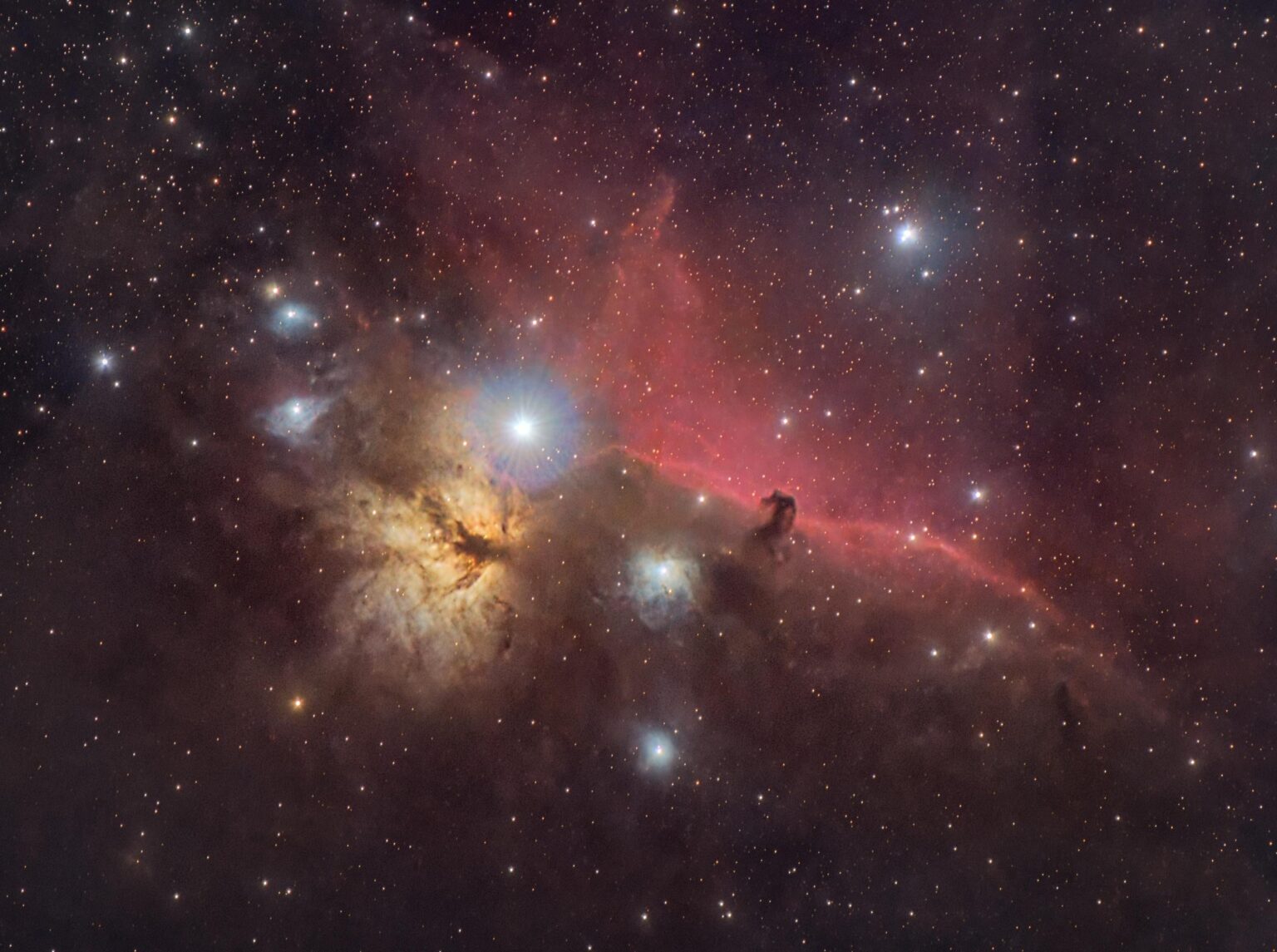 Horsehead and Flame Nebulae