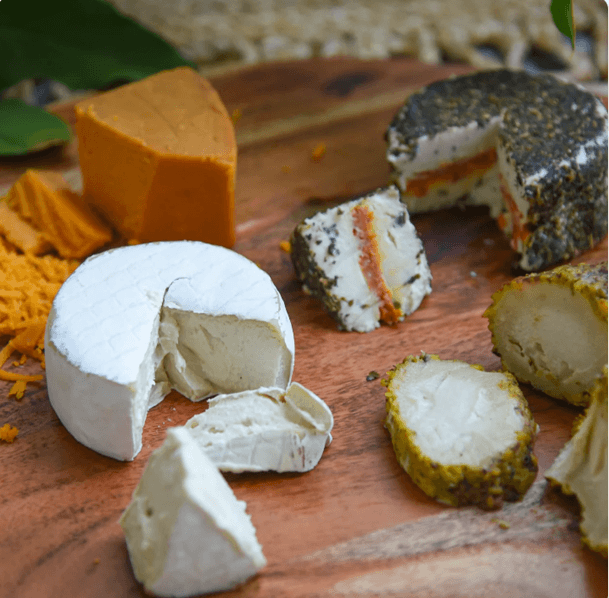 To the Moon With ‘Green’ Cheese: PETA Offers NASA Eco-Friendly, Vegan Cheeses for Moonshot To the Moon With ‘Green’ Cheese: PETA Offers NASA Eco-Friendly, Vegan Cheeses for Moonshot