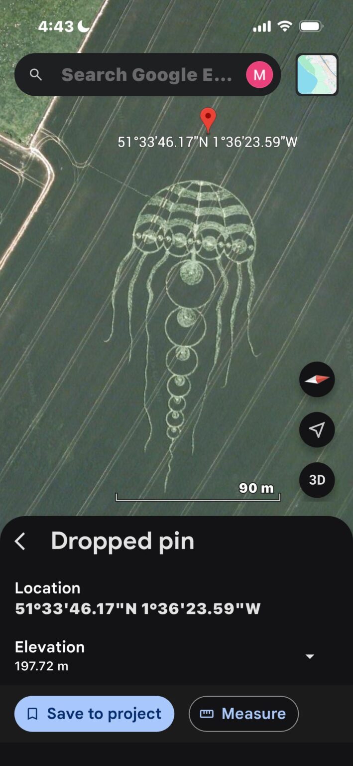 Jellyfish crop circle in the UK from 2009