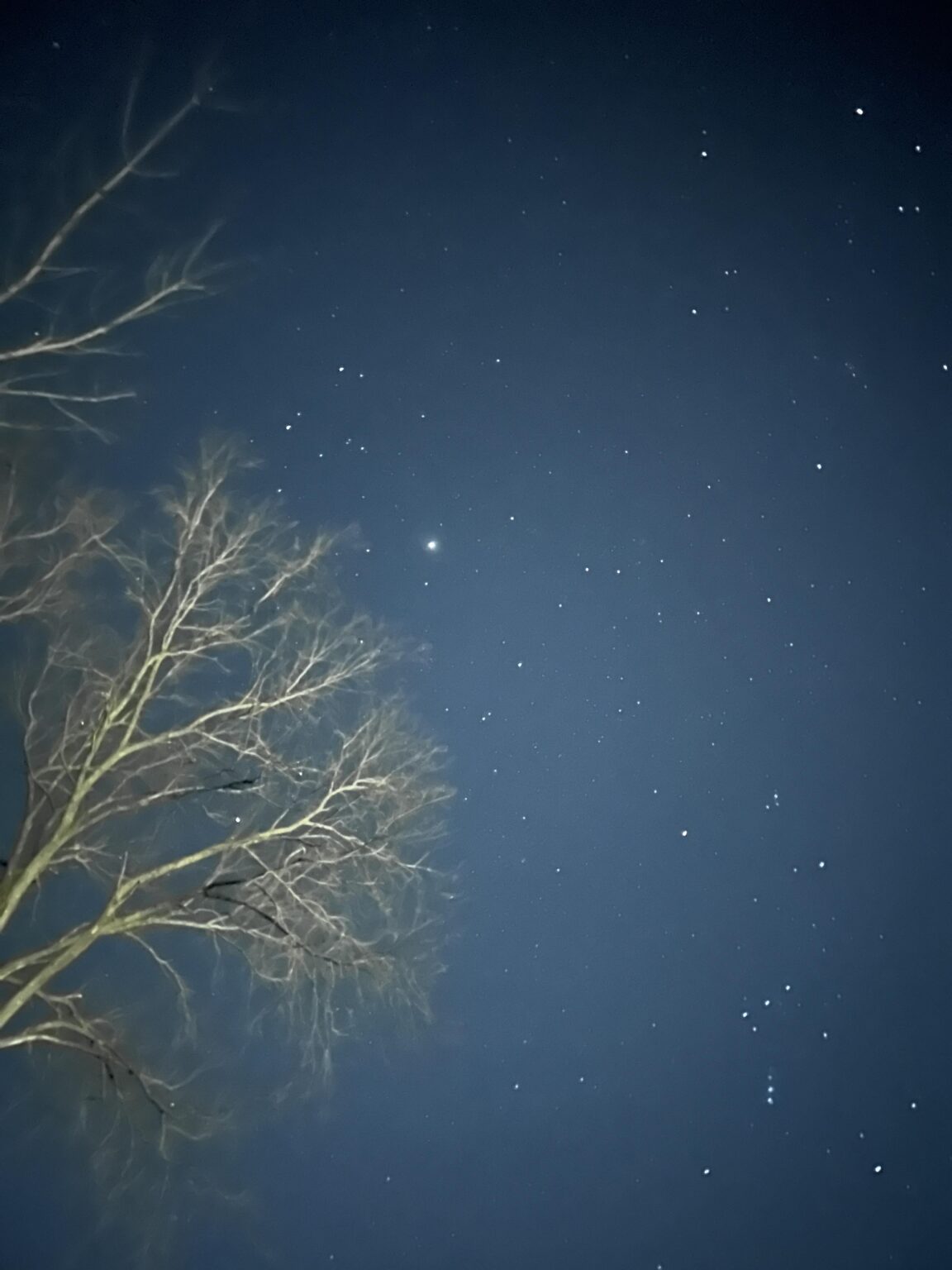 Took with my iPhone besides Jupiter and Orion is there anything worth noting in this pic?