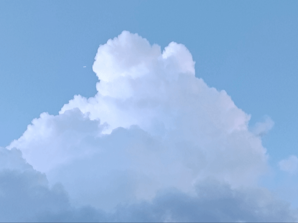 Found this old photo on my phone