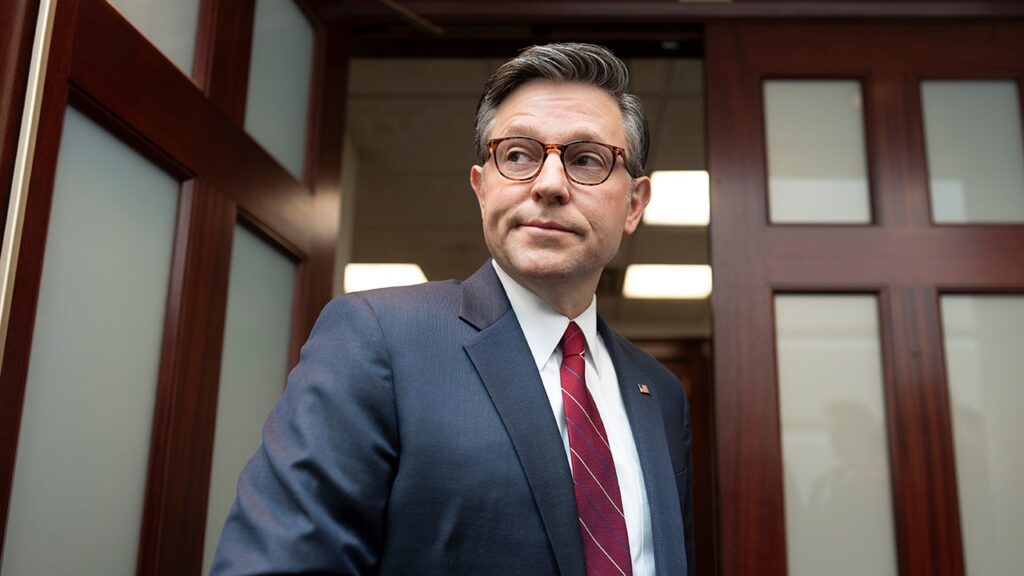 Johnson blasts Democrats for blocking Homeland Security funding on 'Hannity'