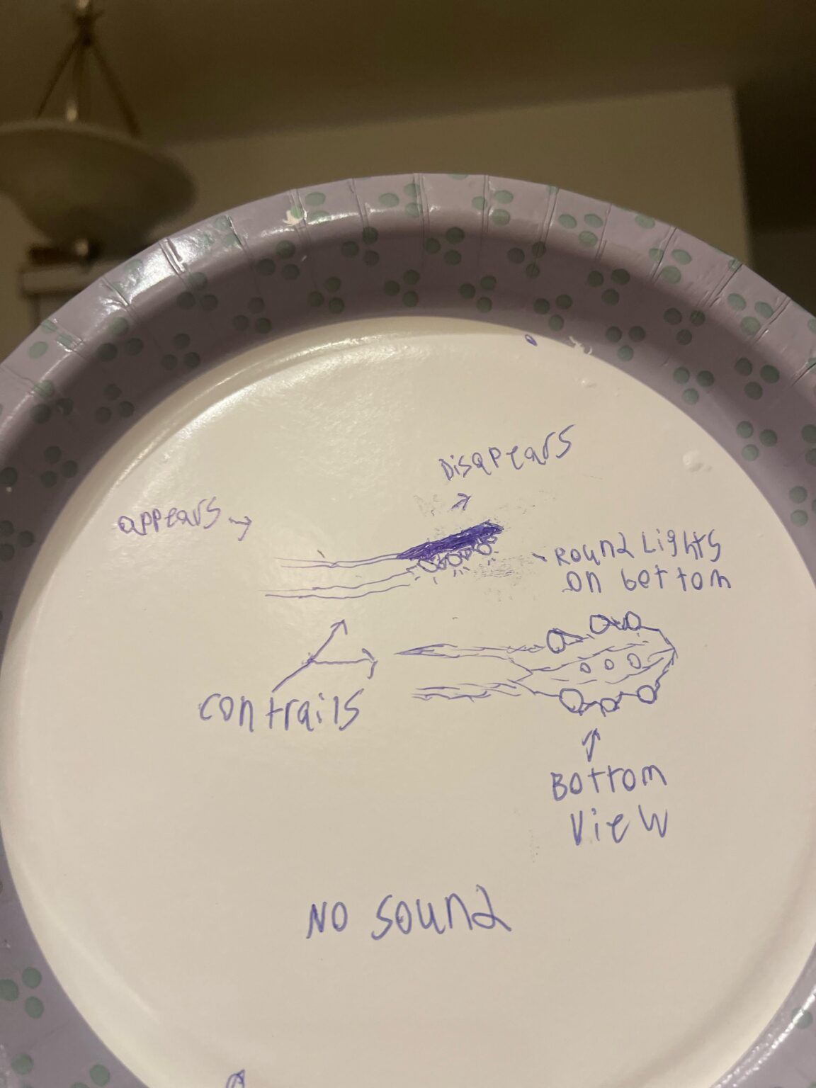 Has anyone seen something similar? Location: brevard county. Time: 5:00 am Sunday march 8.