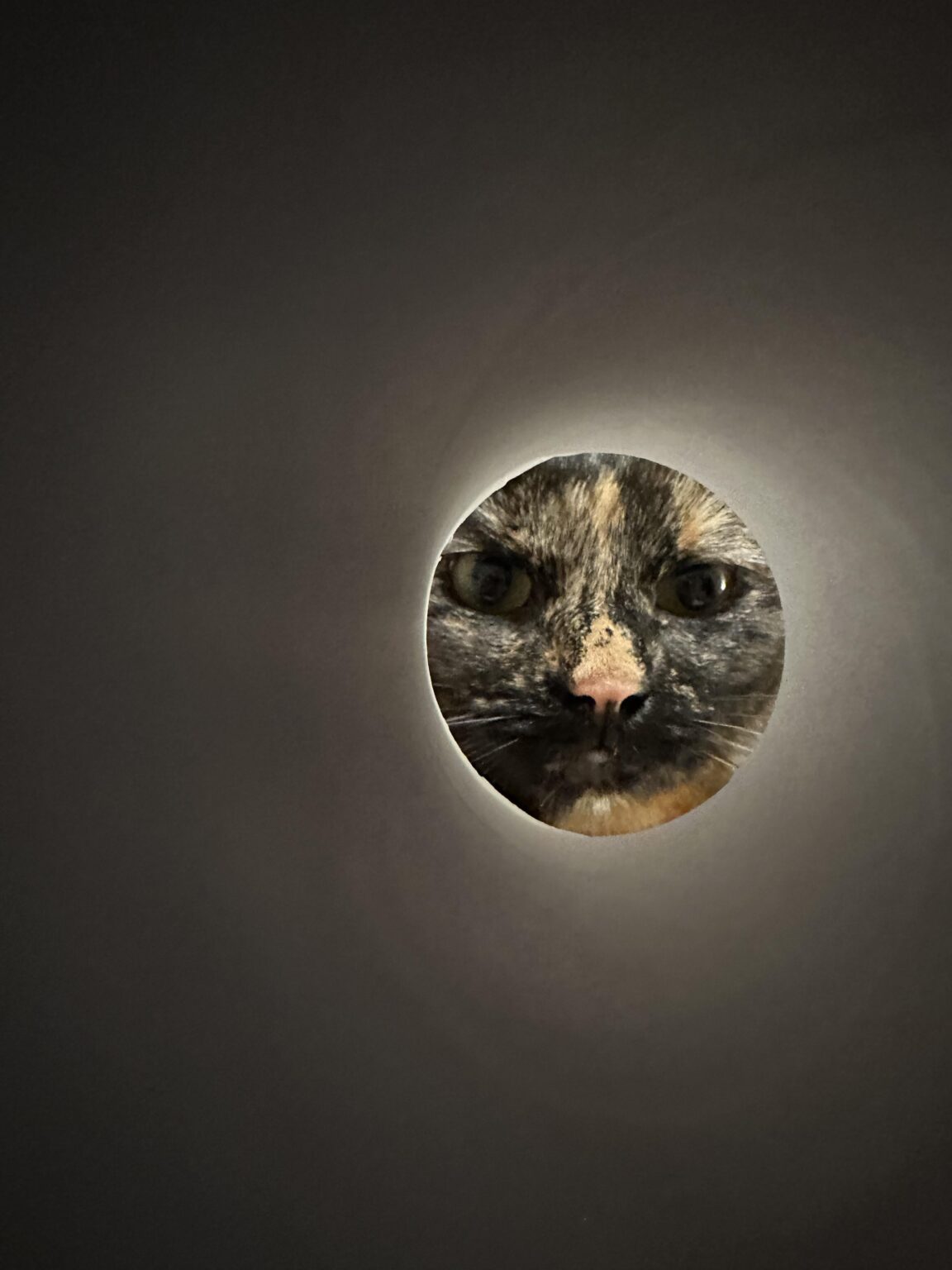 The moon looks good tonight!