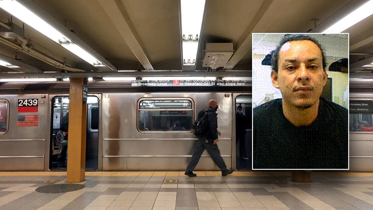 Mugshot of man who unprovoked shoved two people onto the tracks at a NYC subway system, including elderly Air Force vet in critical condition