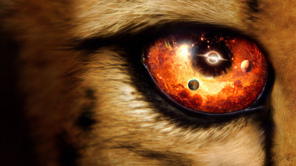 The Best Space Documentaries Streaming Online in 2026