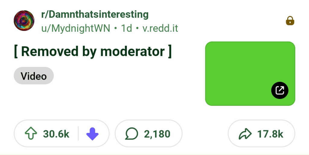 Went To Check My Comment & Found The Recent, Viral, Red Sea Scroll Post About The Pyramids Has Been Removed. Good. But Why?