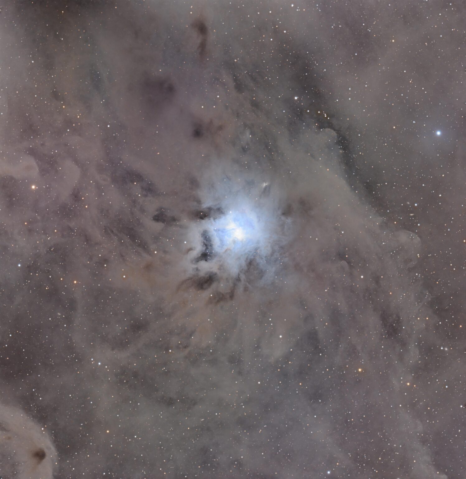 Iris Nebula Iris Nebula