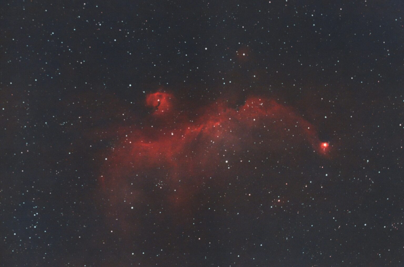 Seagull Nebula