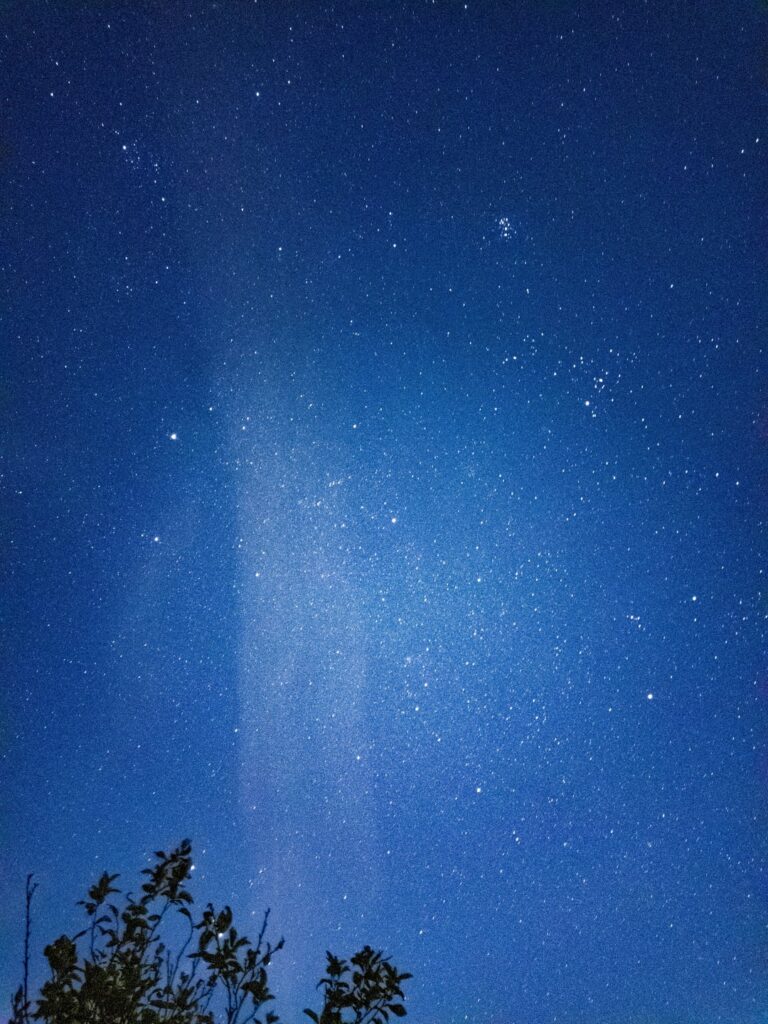 I took these pictures 3 years ago using my phone