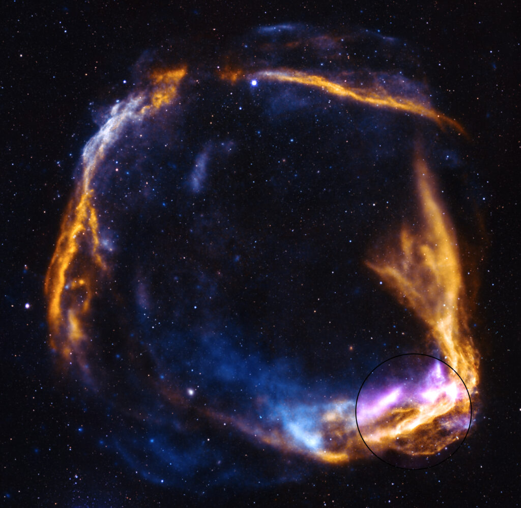 NASA's IXPE Gets Fresh Look at Supernova