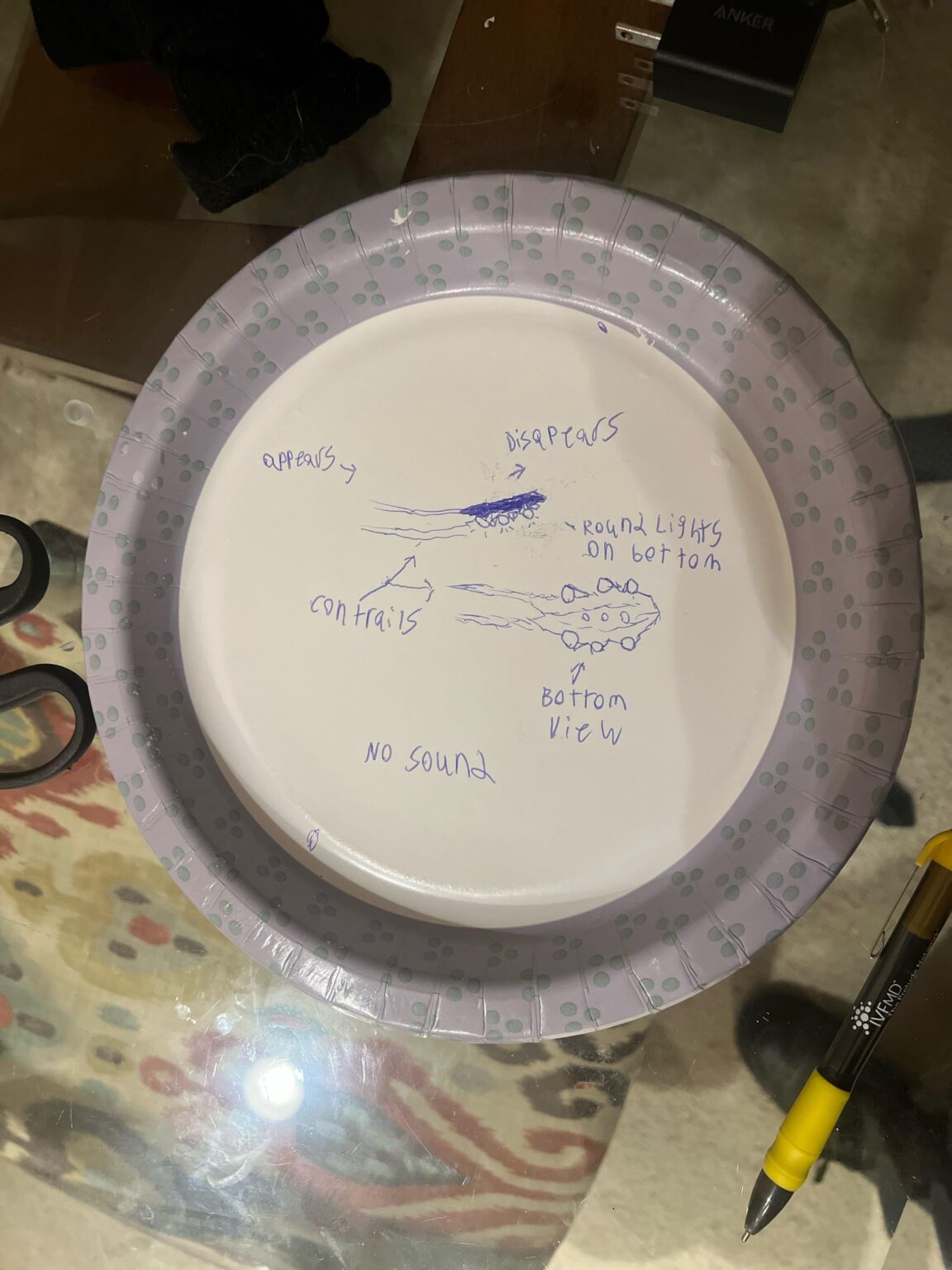 Has anyone seen something similar to this? I am absolutely freaking out and don’t know who to tell lol. It made no sound whatsoever and appeared and disappeared while moving super fast. Time: 5:00 am. Location: brevard county FL