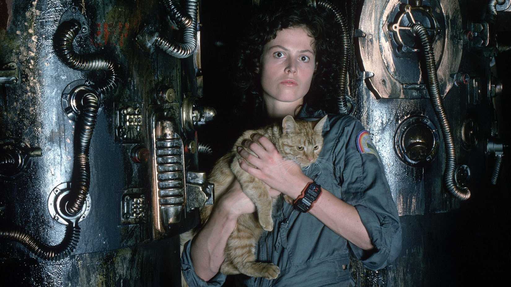 Sigourney Weaver as Ripley with a cat in Alien