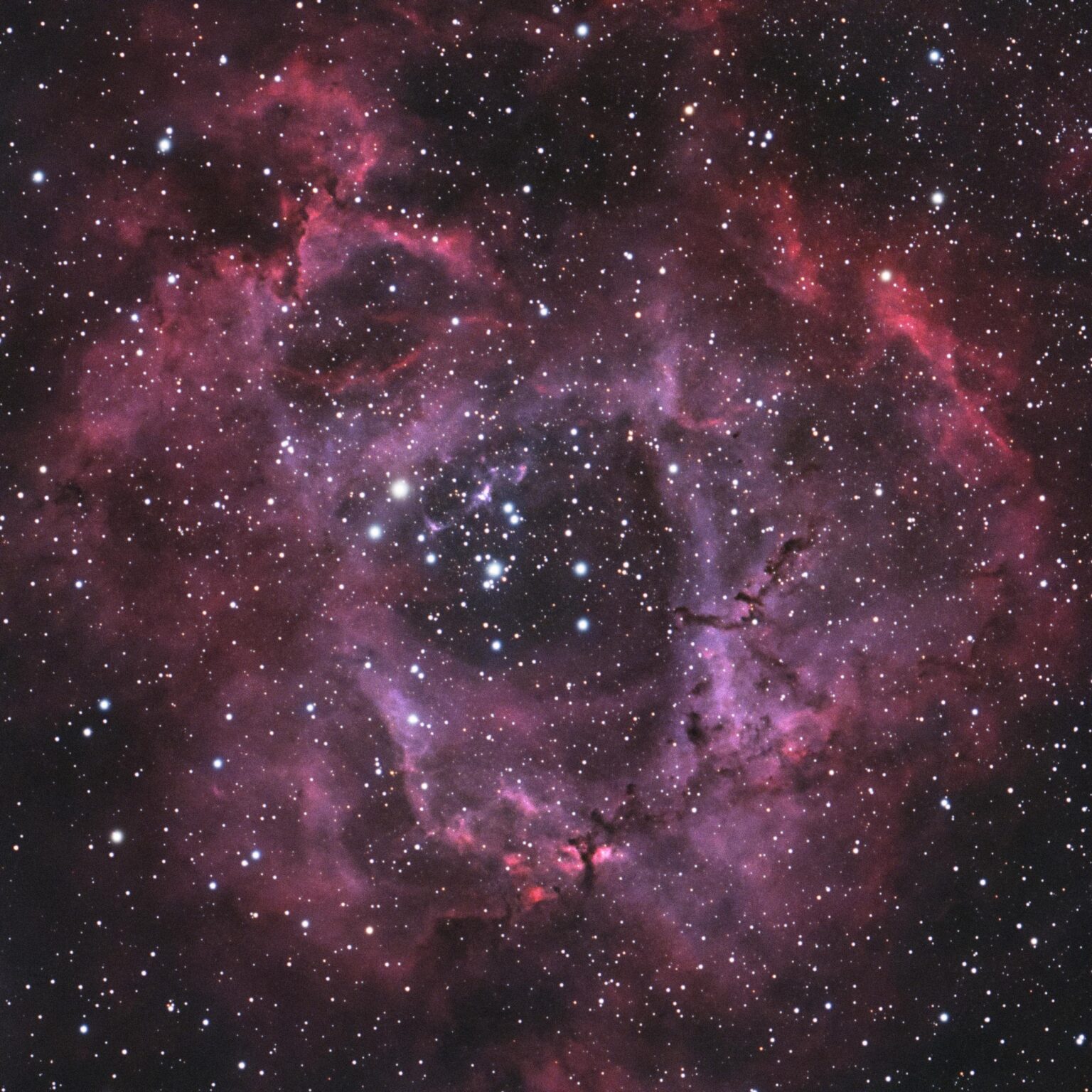 Reprocessed my Rosette after adding 2 more nights to it. Reprocessed my Rosette after adding 2 more nights to it.