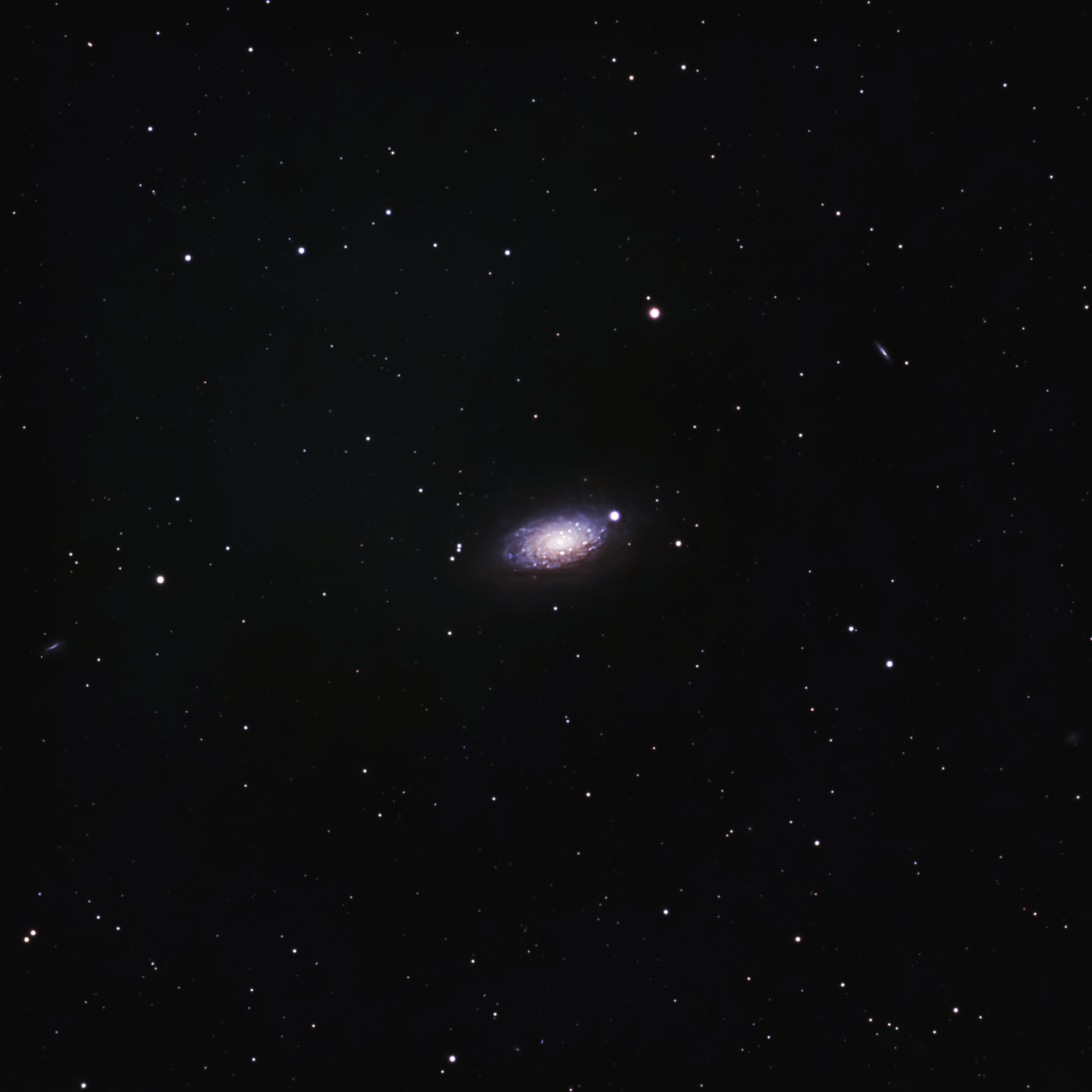 M63 Sunflower Galaxy Bortle 8 No filters