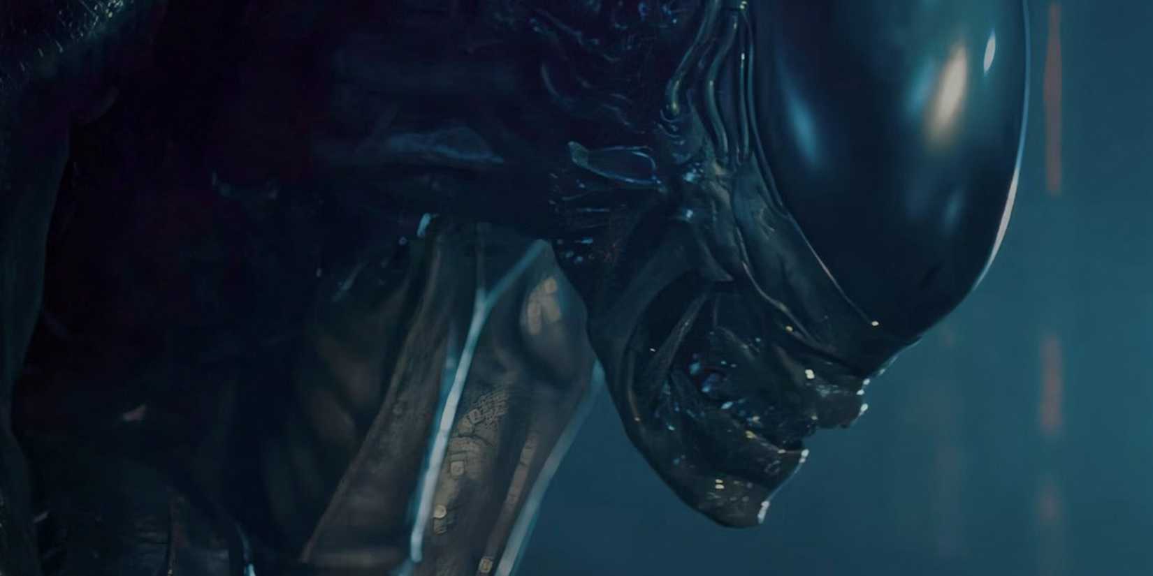 Xenomorph looking intimidating in Alien Earth