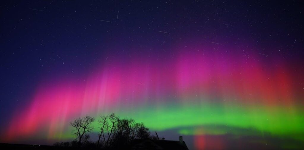 A million new SpaceX satellites will destroy the night sky - one in 15 visible points in the night sky would be a satellite, not a star