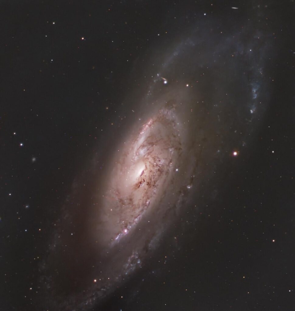 M 106 (OC)
