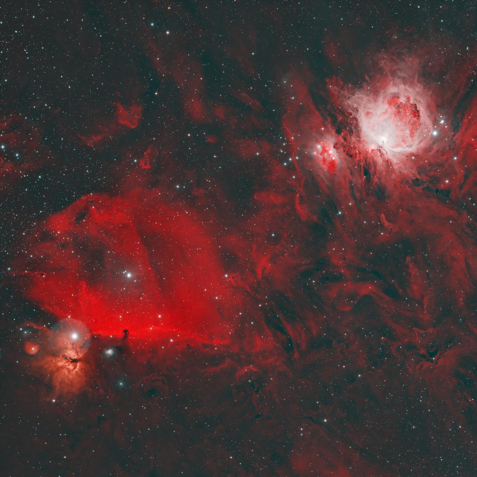 Orion Region Widefield