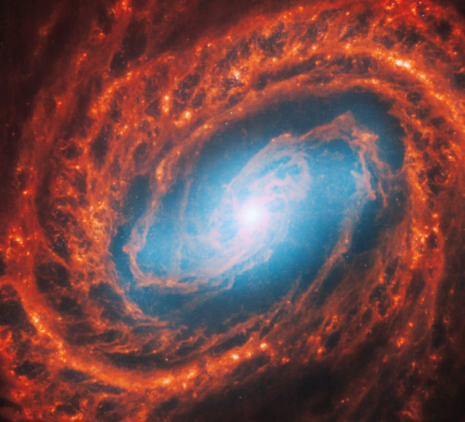 Webb captured this new image of galaxy Messier 58, in both the near and mid-infrared, as part of a treasury of 55 massive, star-forming galaxies.