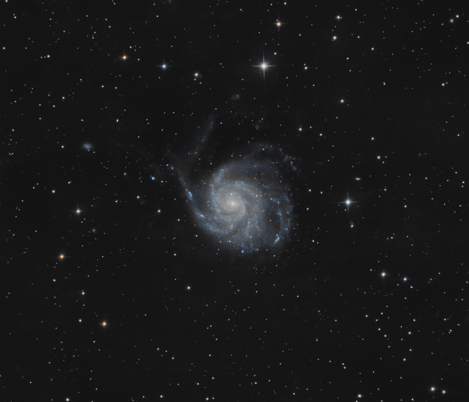 M101 in bortle 9