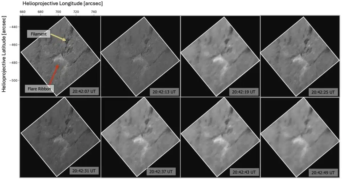 11207 2026 2633 Fig3 Html.png 2 20260409 175738