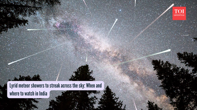 Lyrid meteor showers to streak across the sky: When and where to watch in India