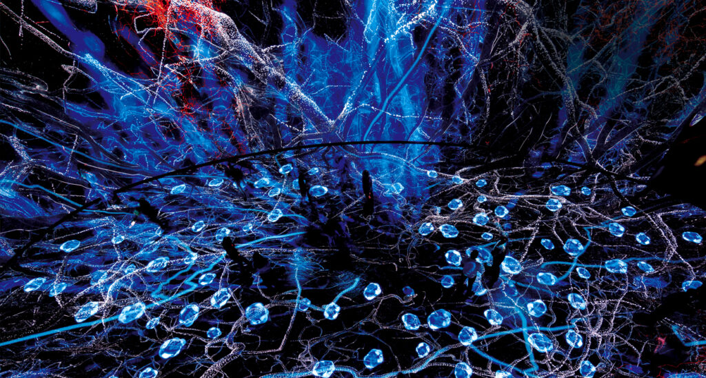 Science Visualization that Reveals Our World