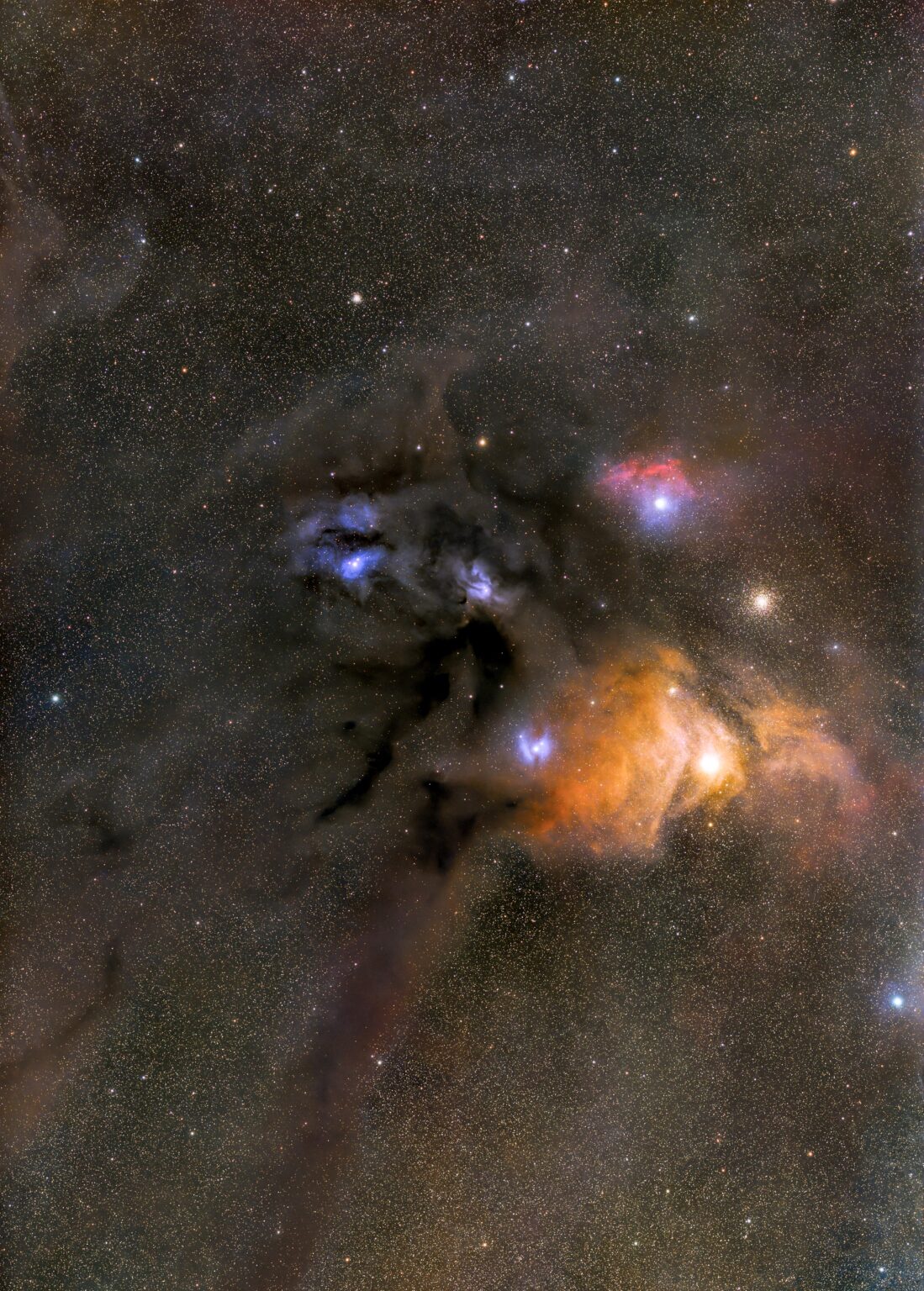 Rho Ophiuchi first light with SV535