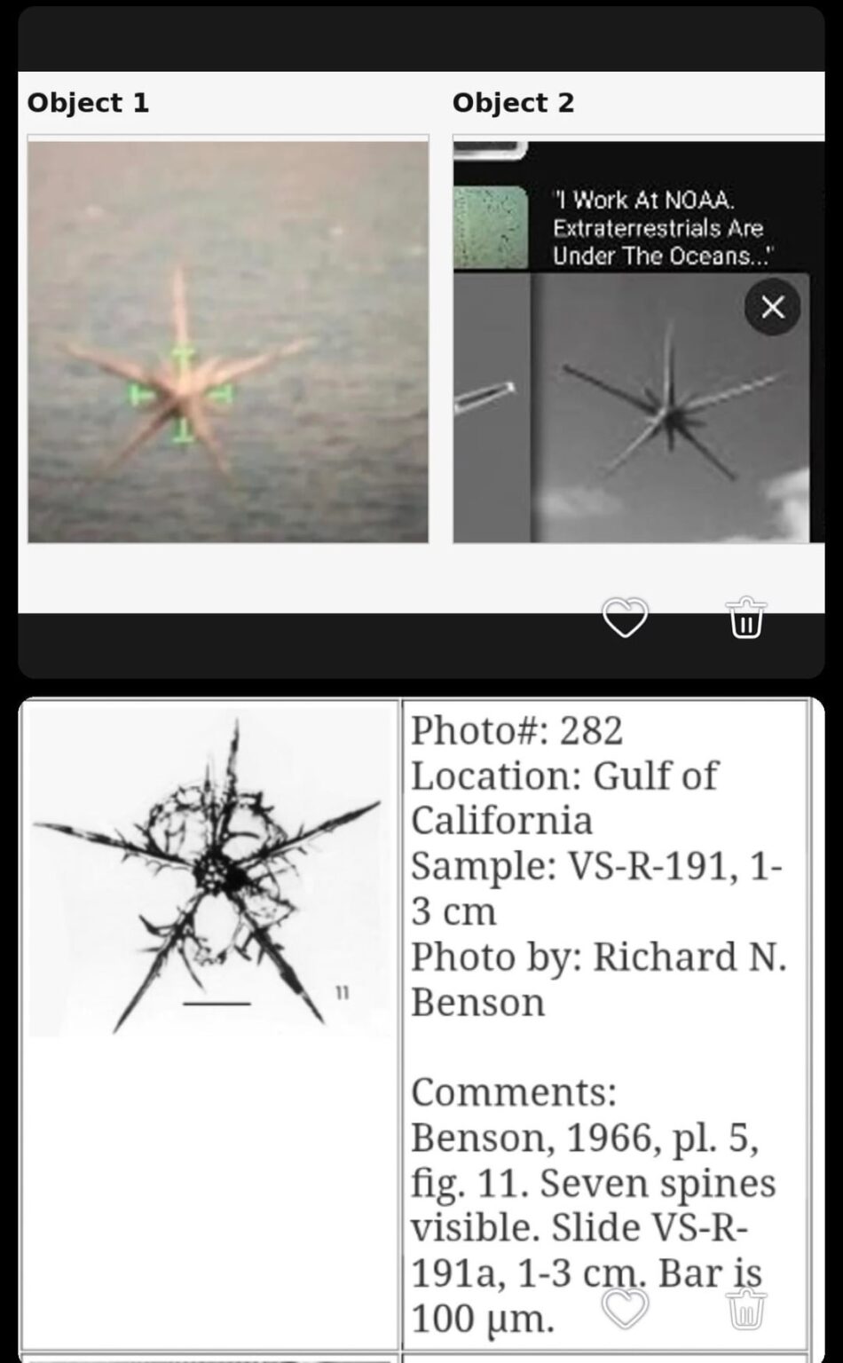 It makes sense 2 post