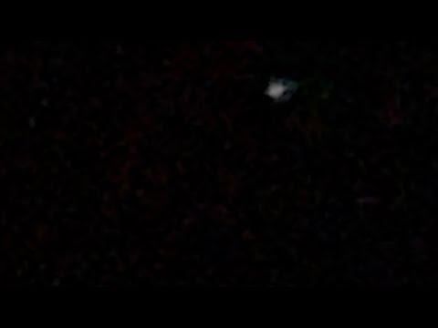 Unbelievable Sighting by my husband and I that lasted 2 hours off the balcony of our cruise ship 4/16/2026