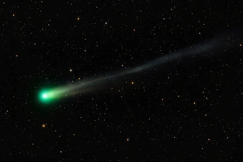 Comet C/2025 A6 (Lemmon)Credit: Getty
