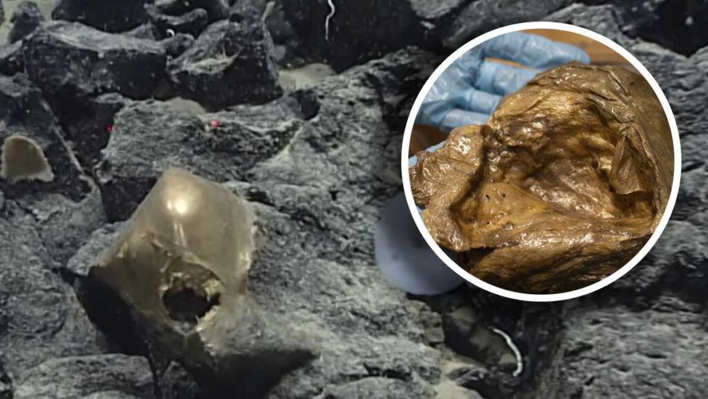 Scientists identify mysterious 'golden orb' found on ocean floor