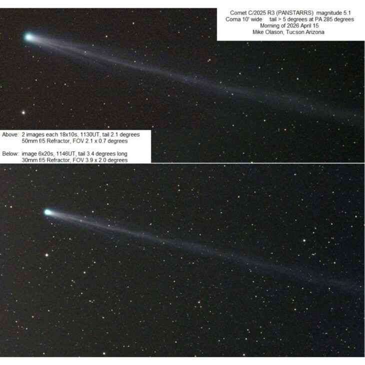 Comet PanSTARRS makes its closest approach to Earth this Sunday with a magnitude that could surpass Sirius. The best observation in Brazil will be in early May.

