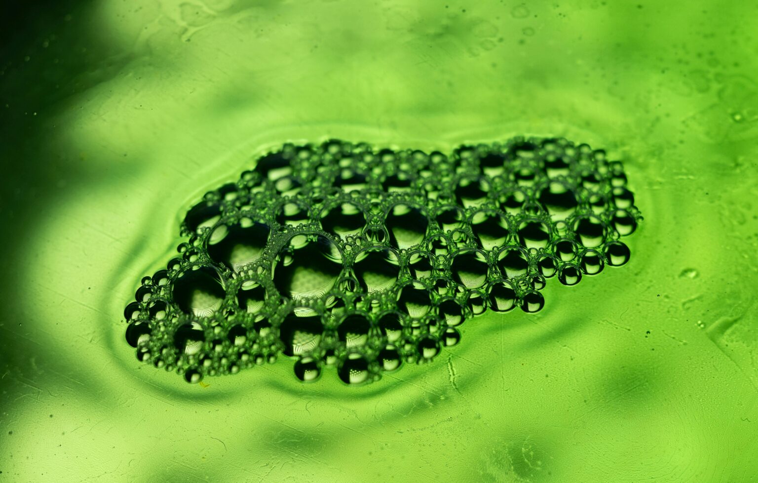 The biological basis of "manifesting" health? Neuroplasticity theory