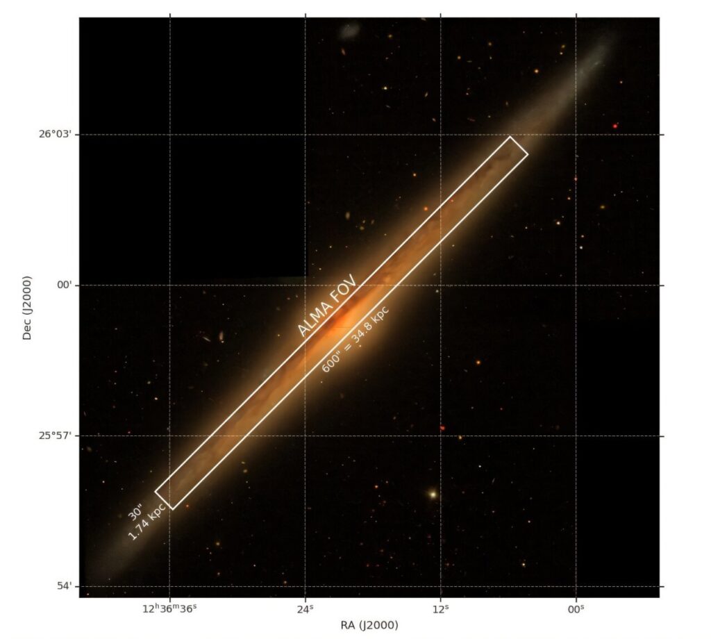ALMA detects giant molecular clouds in the Needle galaxy