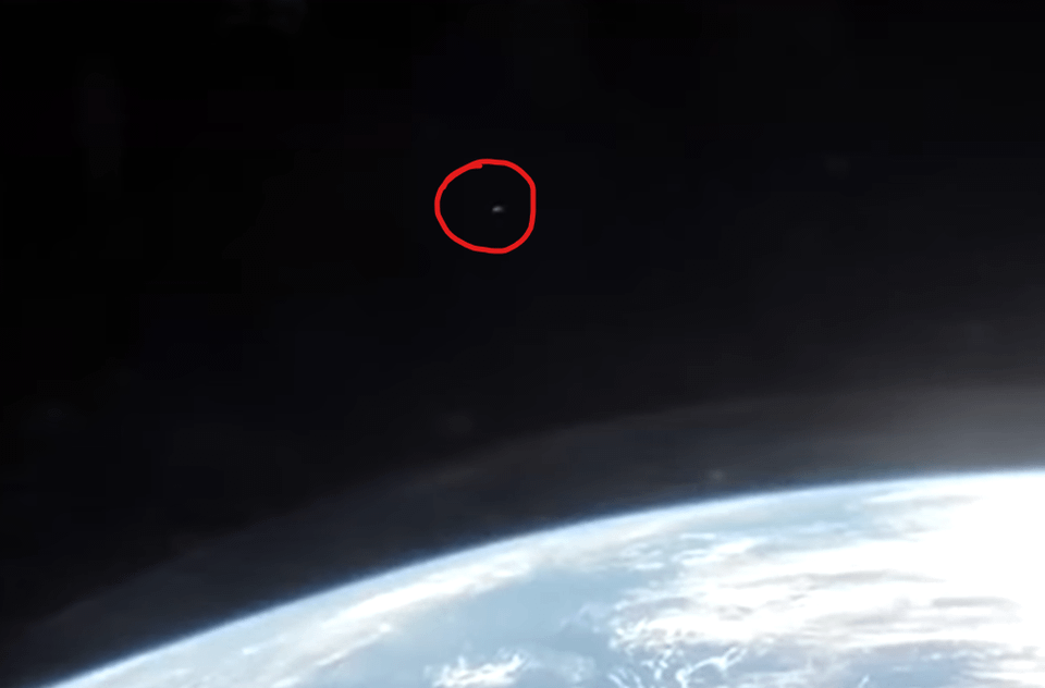 what was this thing during the artemis live