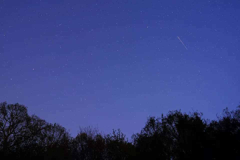 Shooting star seen in a night sky above a silhouette of trees.