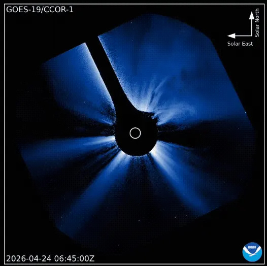 A comet is shown moving past the sun in image from a coronagraph.