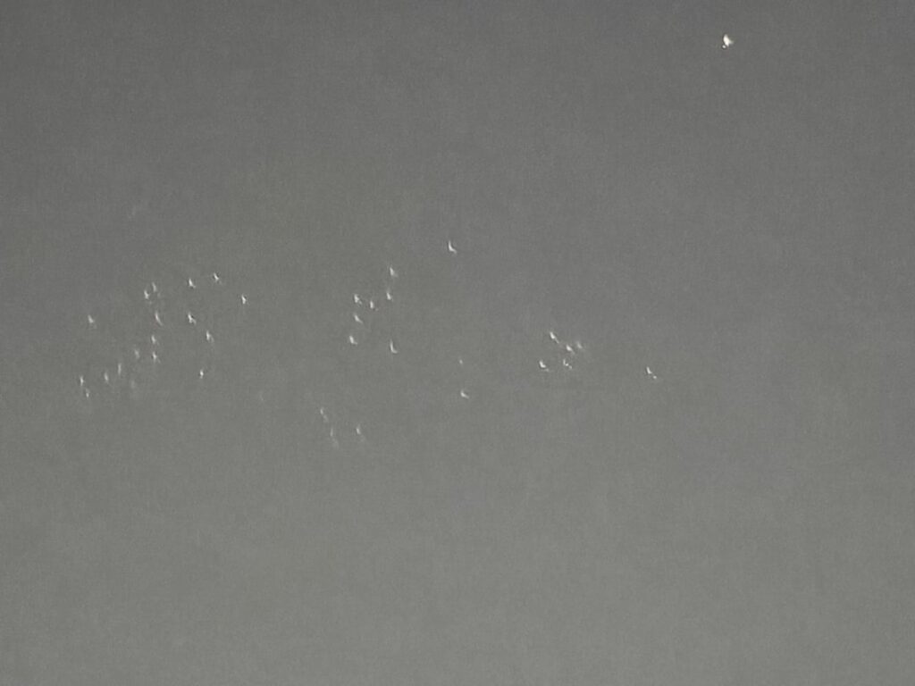 Sighting location Surat India Time 25/4/26 10 pm IST