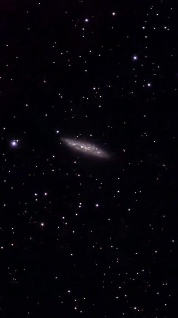 M108- The Surfboard Galaxy 🏄46 Million light years away