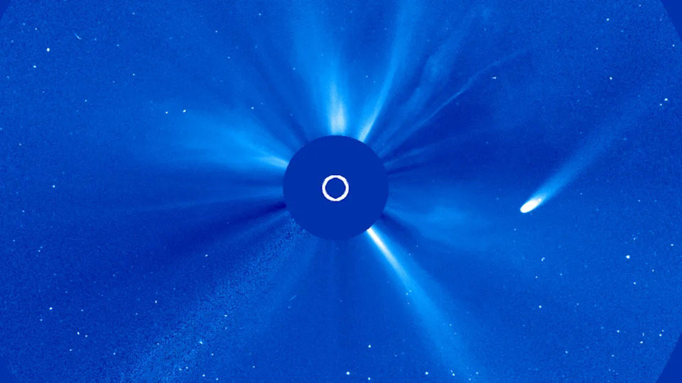  A comet is pictured in coronagraph data flying past the sun. 