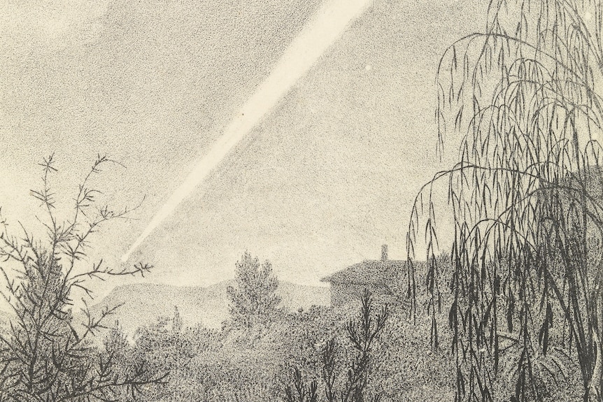 Sepia toned drawing of leafy bushland and cottages with a comet scoring straight across the sky.