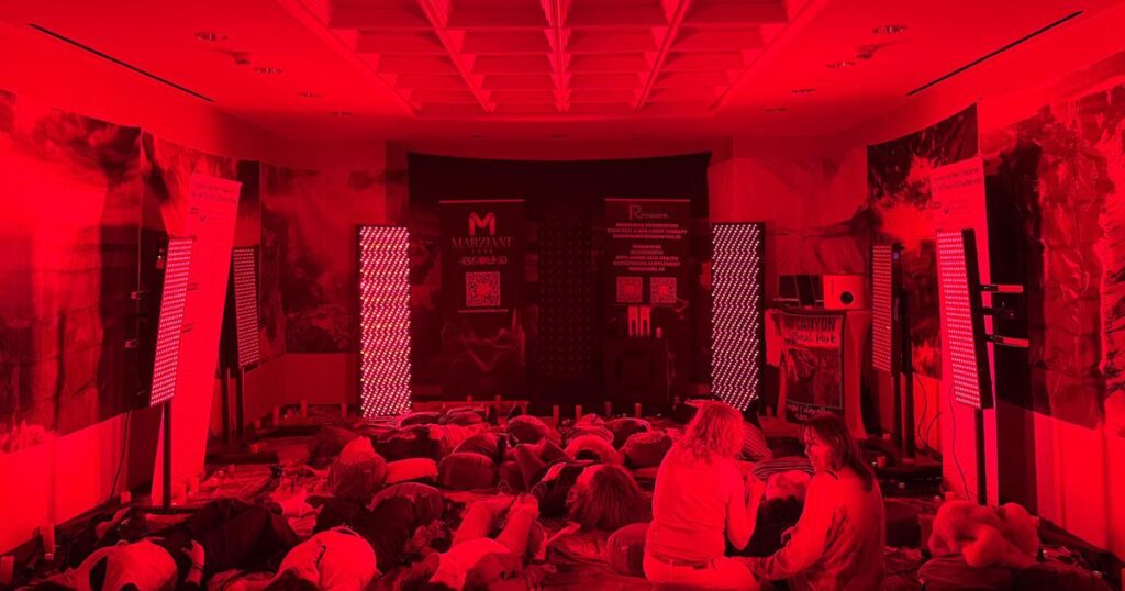 Starseeds, government plots and an alien mantis: Inside New Age spirituality’s new age | Lifestyles Starseeds, government plots and an alien mantis: Inside New Age spirituality's new age