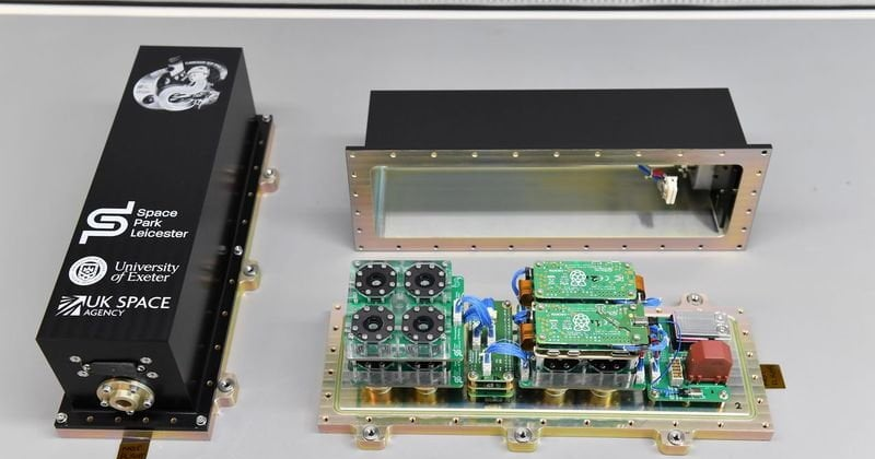 Why scientists plan to launch microscopic worms into space